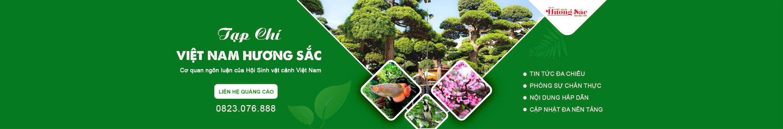 Việt Nam hương sắc