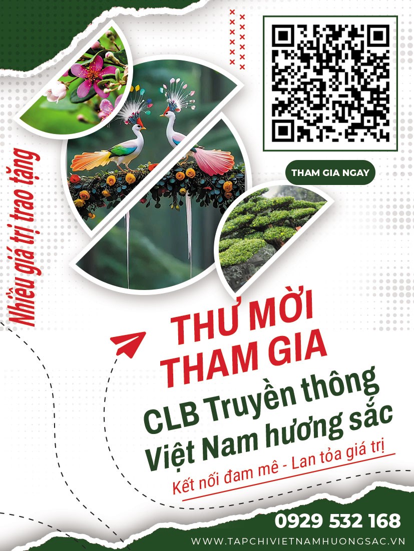 Quảng cáo #8