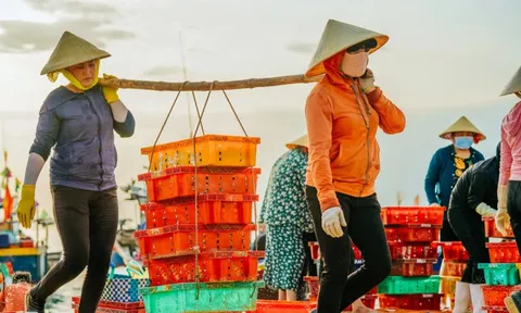 Quảng Trị: Làng nước mắm Nhân Trạch trăm năm nâng tầm thương hiệu