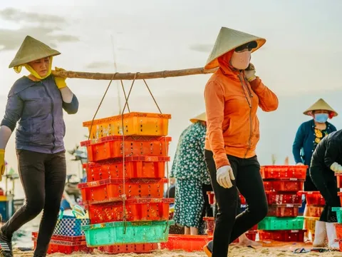 Quảng Trị: Làng nước mắm Nhân Trạch trăm năm nâng tầm thương hiệu