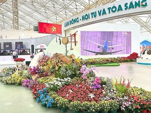 Sở Giáo dục và Đào tạo TP.HCM: Cần giải bài toán cân bằng giữa tiết kiệm và sinh kế nông dân trồng hoa